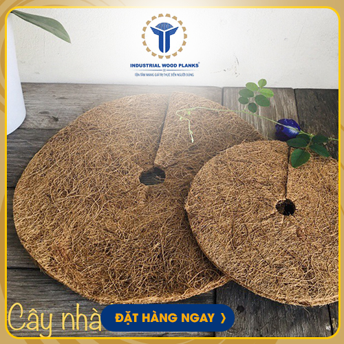 Tấm lót chậu cây